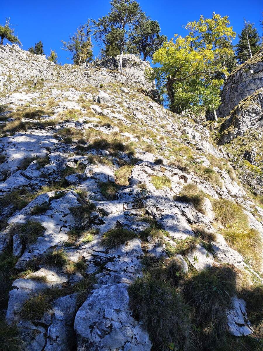 Zweites Mal leichte Kletterei