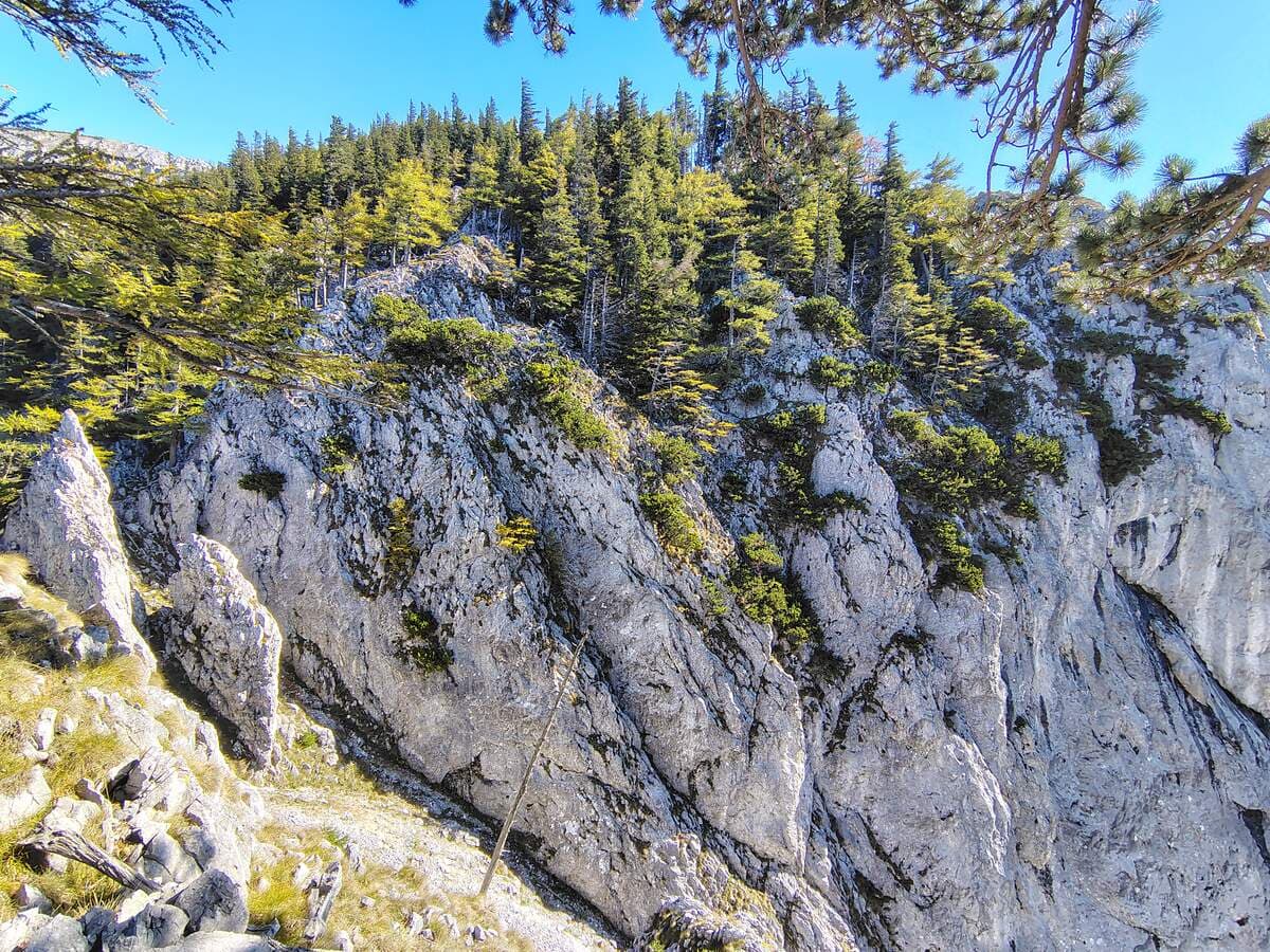 Geg. Schönleitenschneide