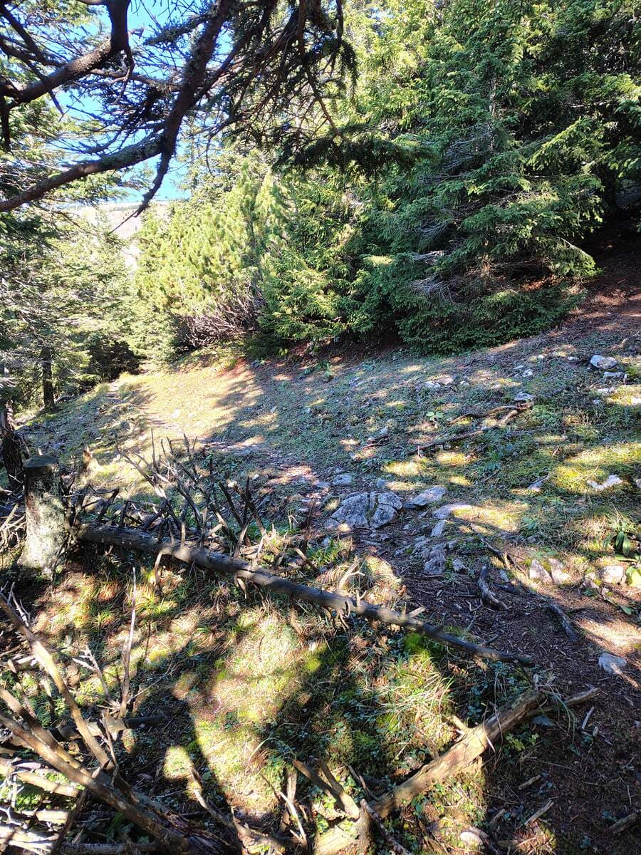 Südlicher Grafensteig (Ausstieg)