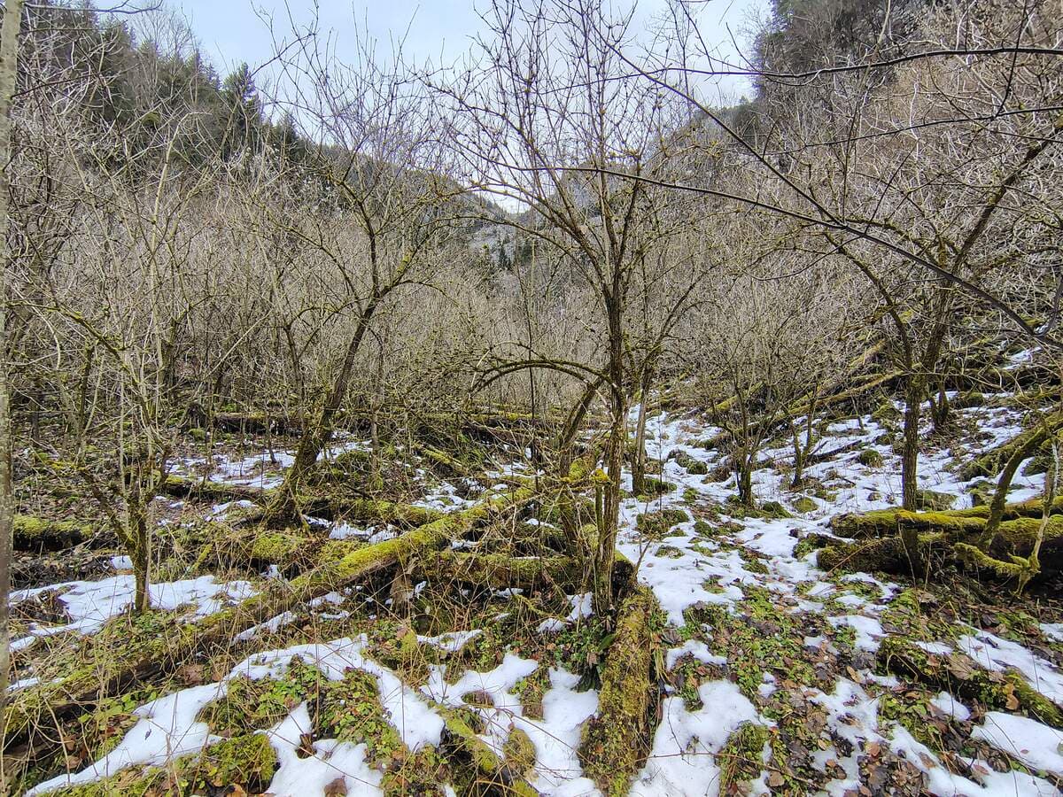 Direkter Einstieg in den Lahngraben