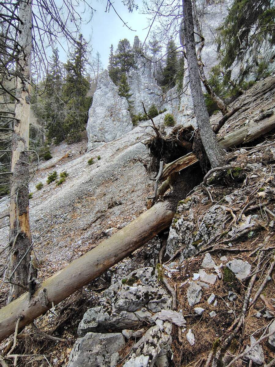 Herabkommender Schuttstrom mit zwei Türmen