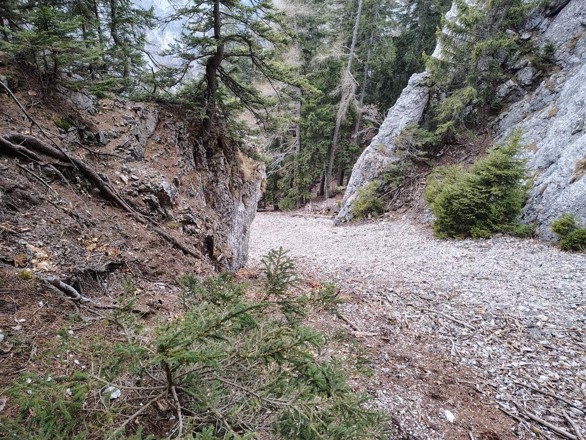 Derselbe Schuttstrom (von oben)