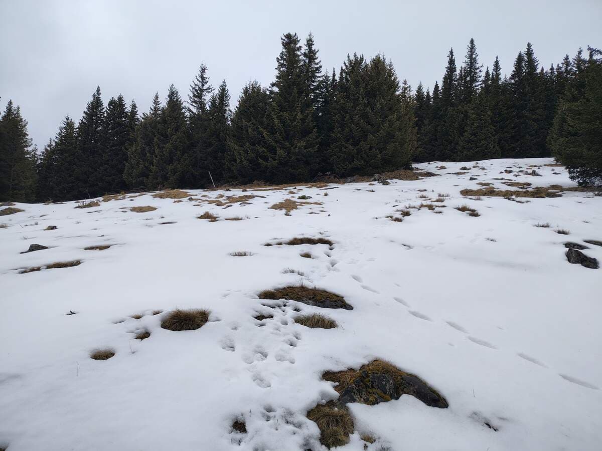 Ausstieg auf der Schönleitenalm