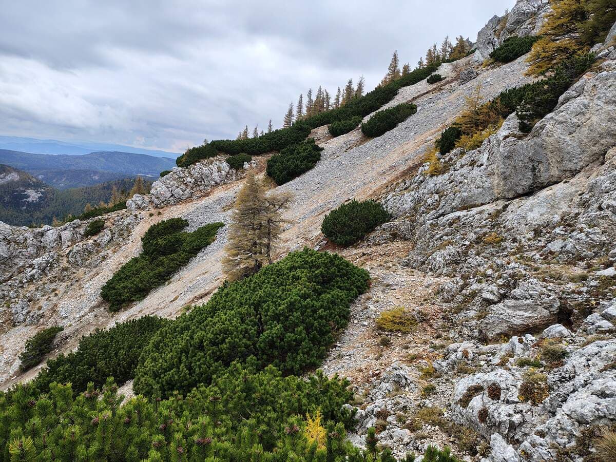 Oktobergrat, geg. Herminensteig