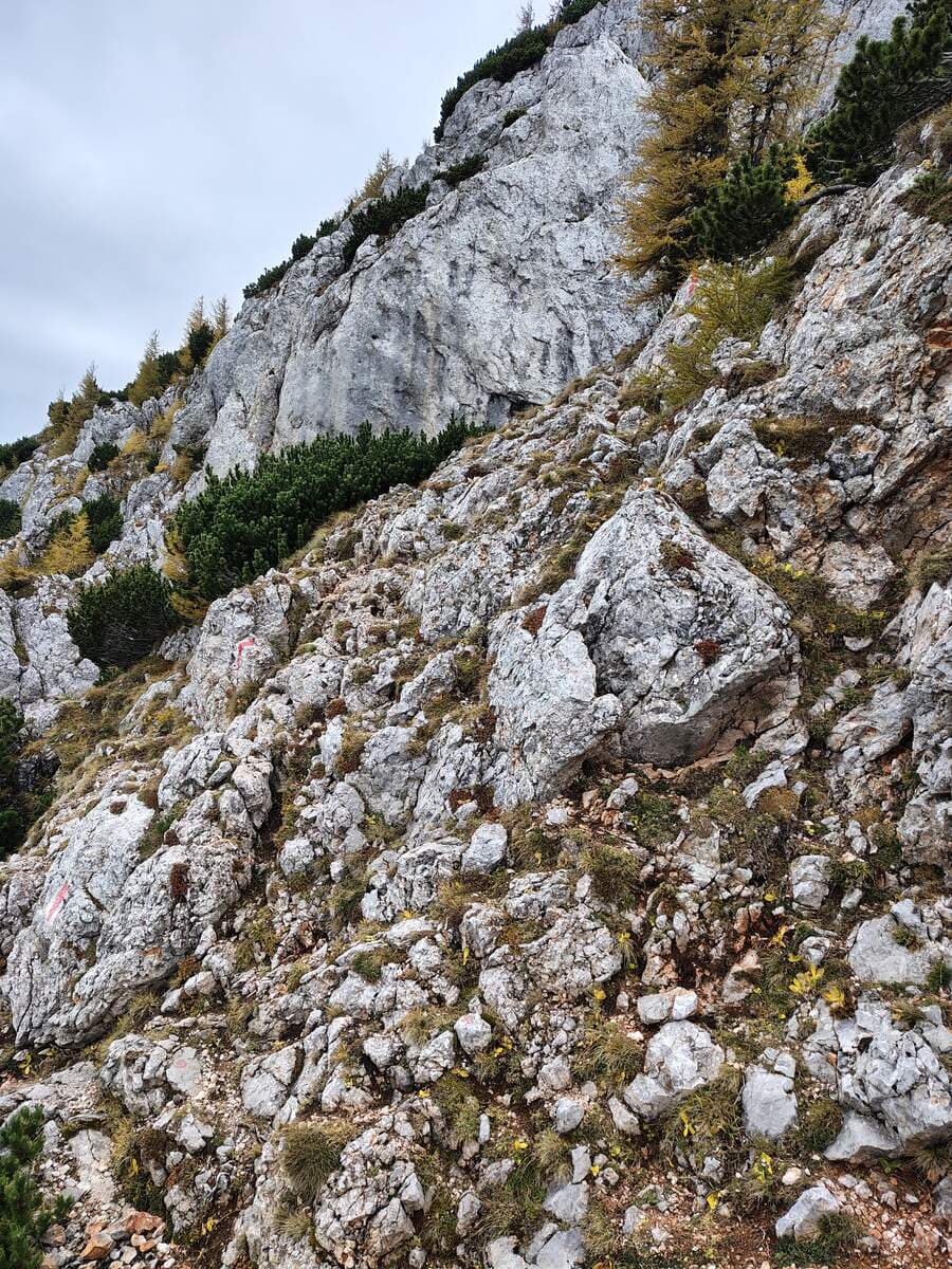 Oberer Herminensteig