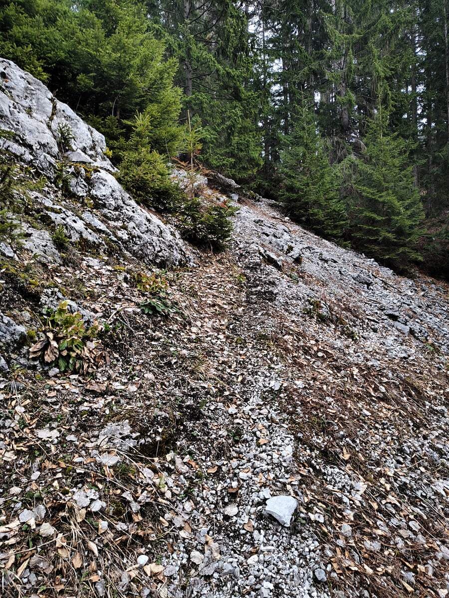 Einstiegsstelle