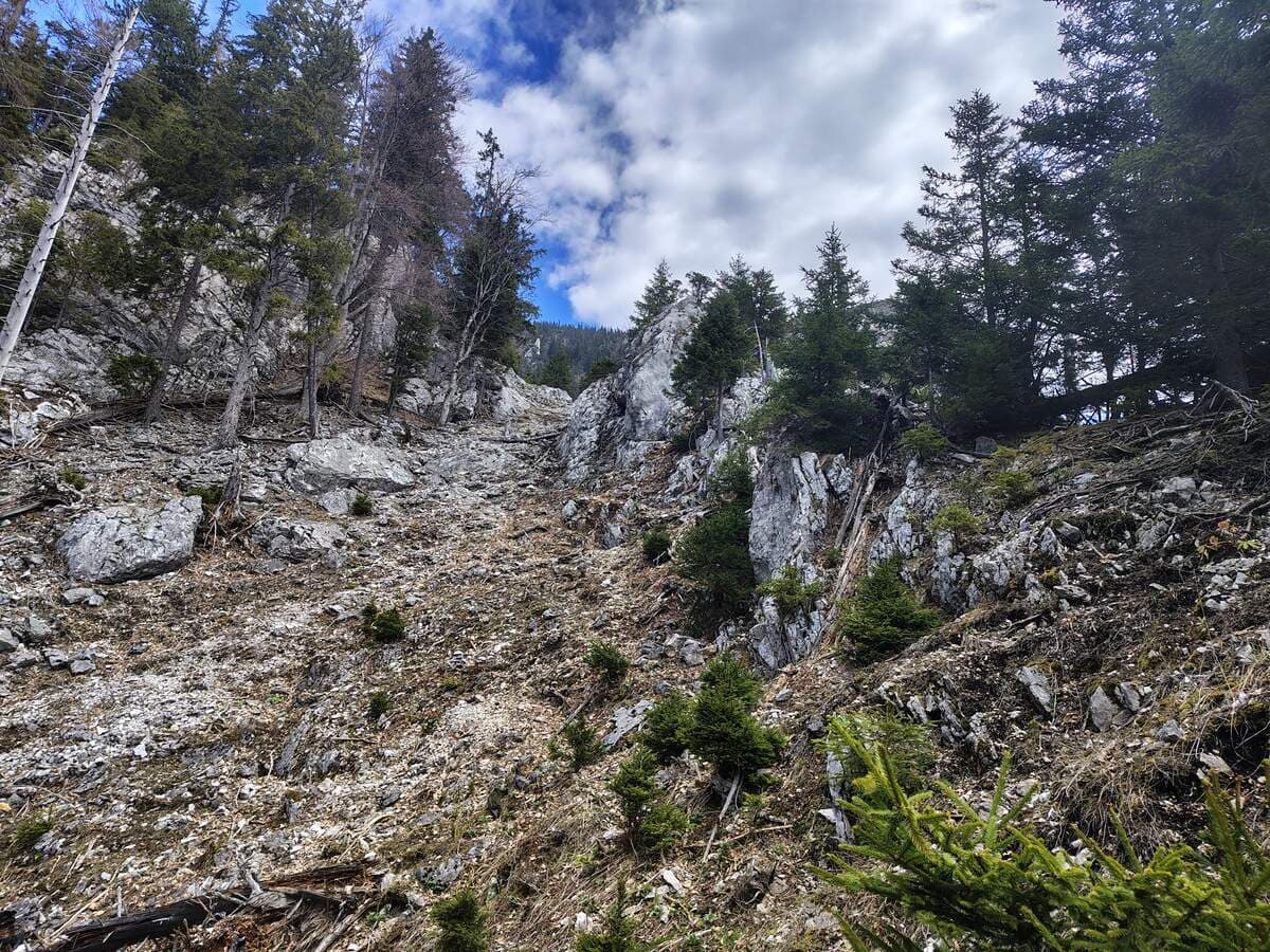 Verlauf