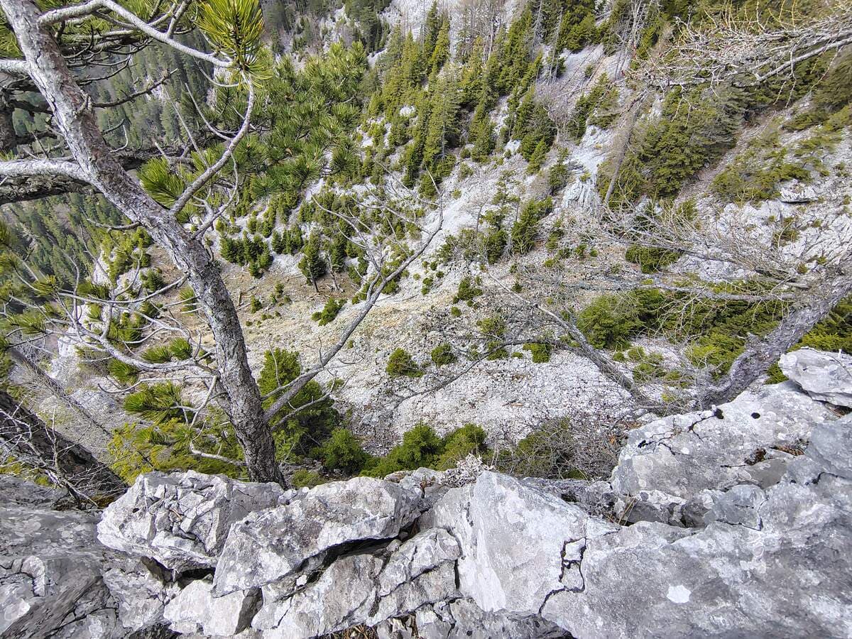 Tiefblick
