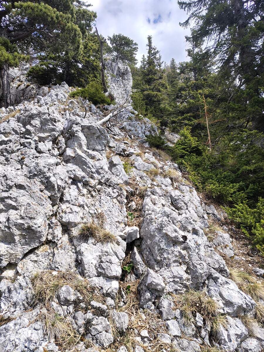 Verlauf