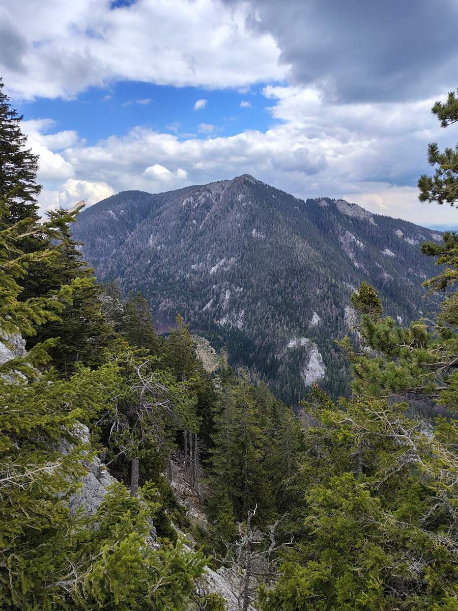 Aussicht zum Krummbachstein