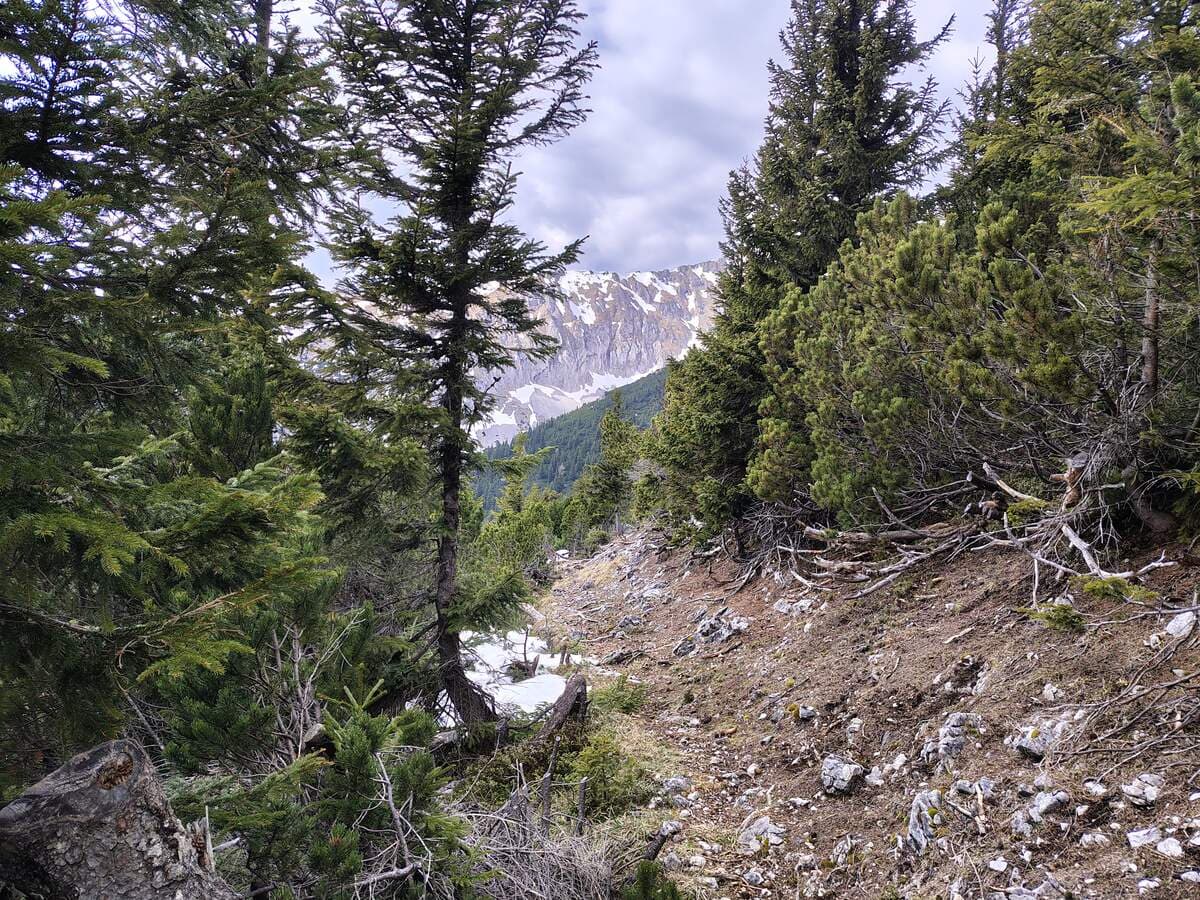 Südlicher Grafensteig