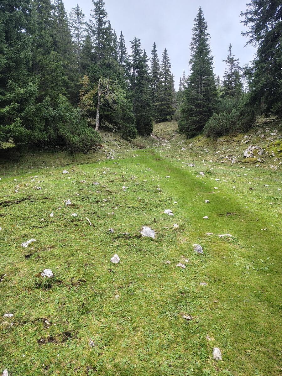 Anfang des Wurzengrabens