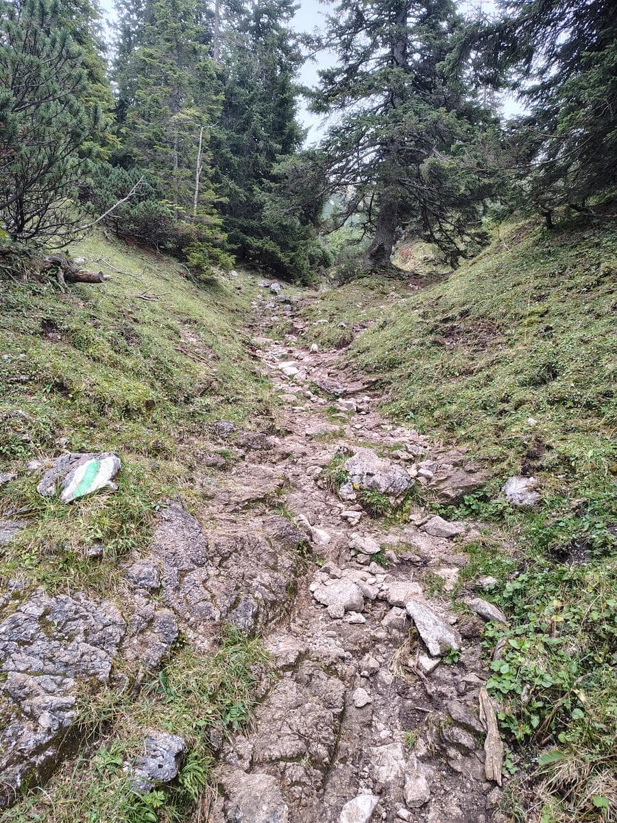 Weiter im Wurzengraben