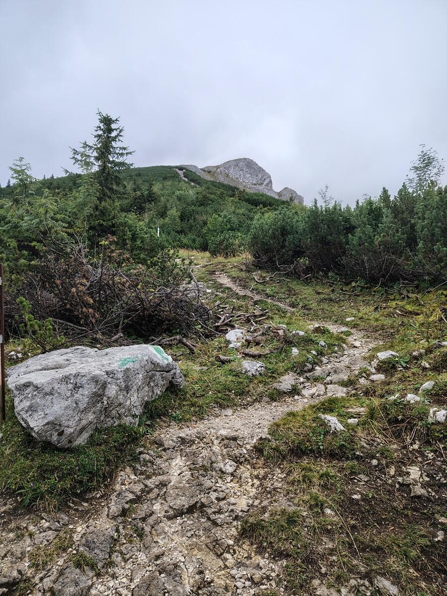 Blick zum Schauerstein 🗿