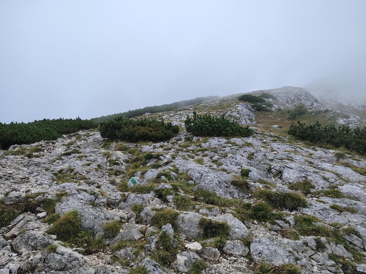 Weiter zum Hochschneeberg