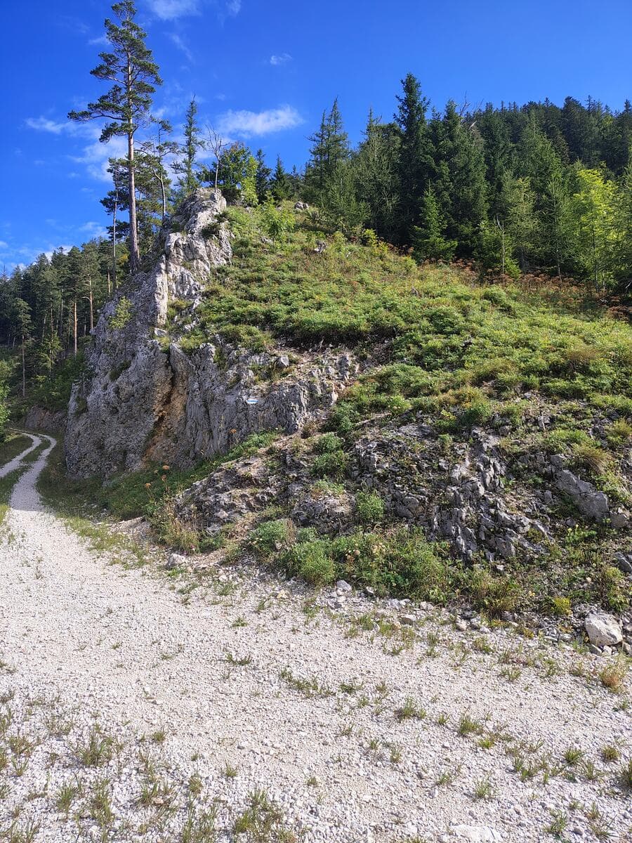 Fortsetzung nach der Forststraße