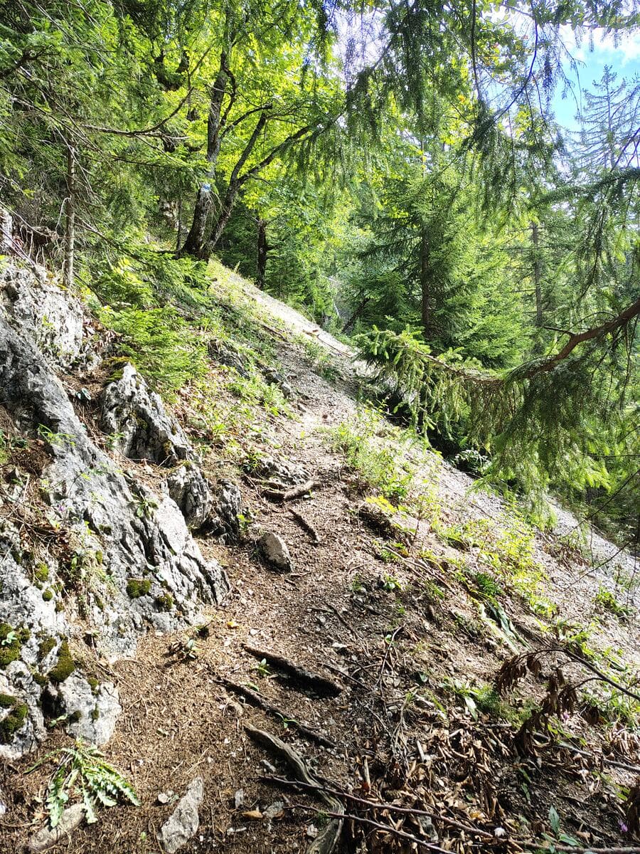 Kleines, querendes Geröllfeld