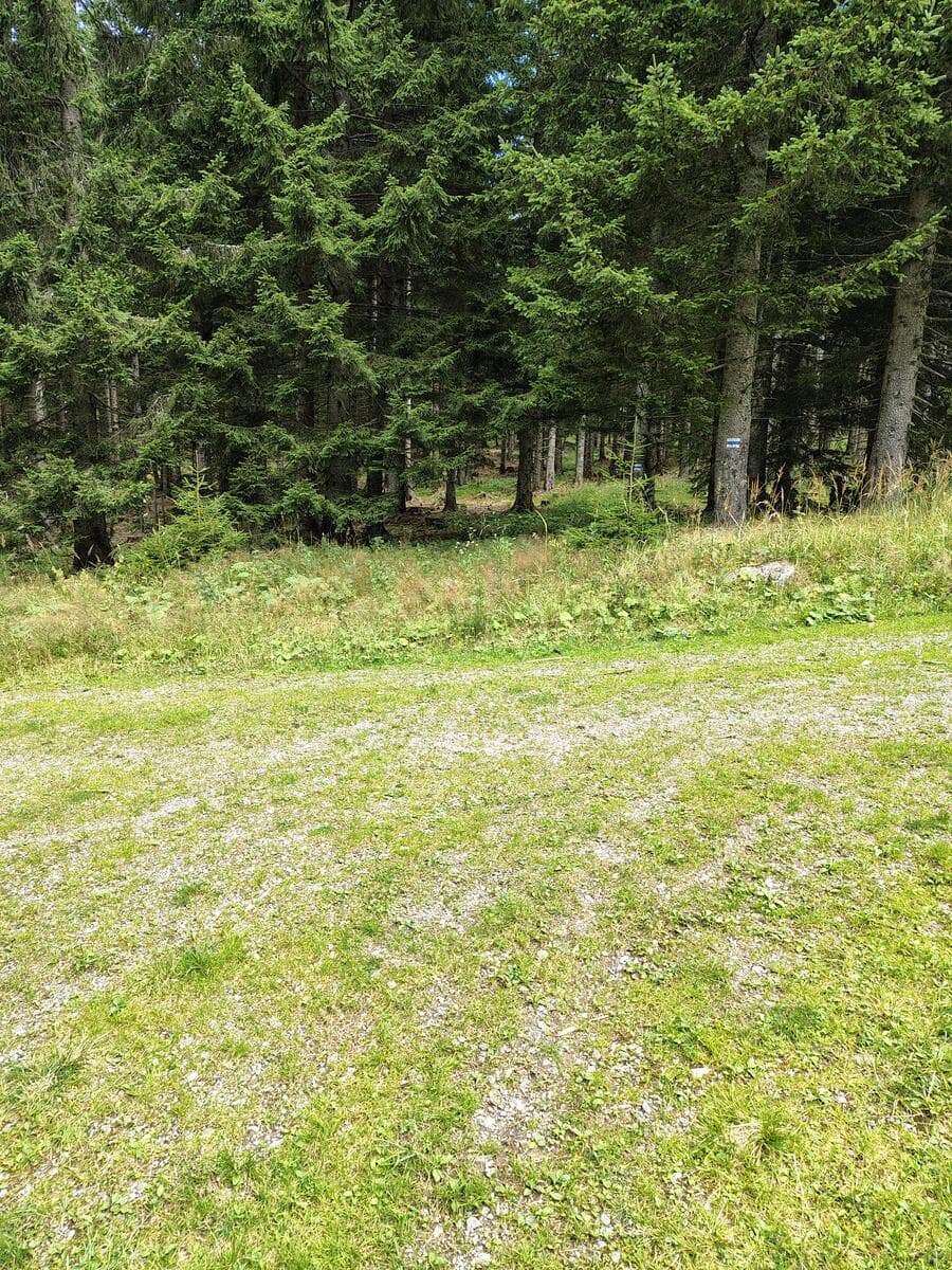 Querende Forststraße beim Stadelboden