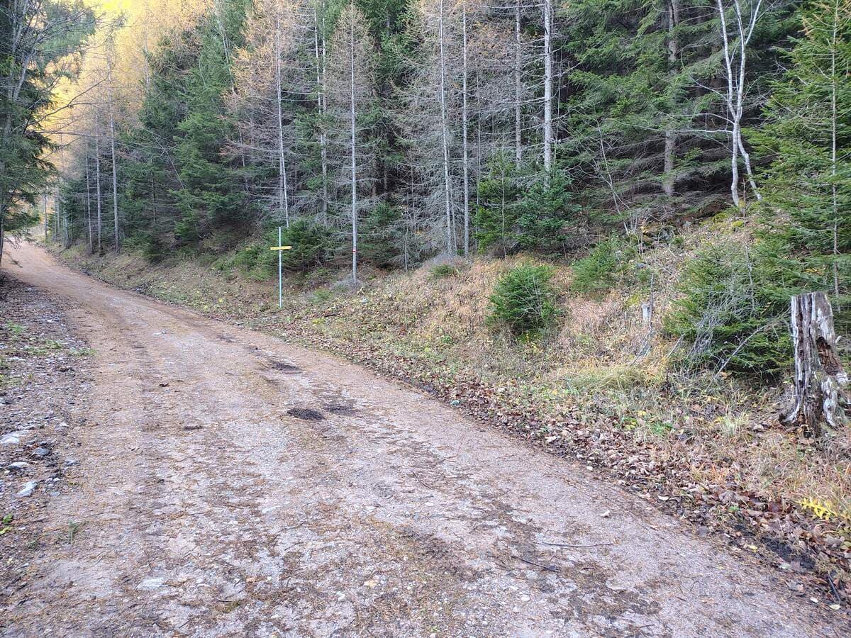 Links ist die Fortsetzung