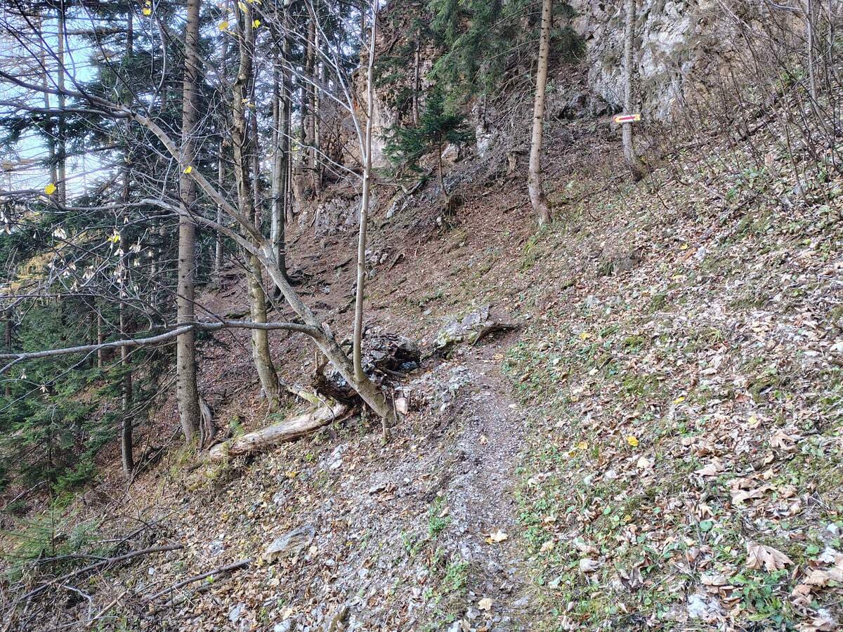 Einstieg von der Umgehung