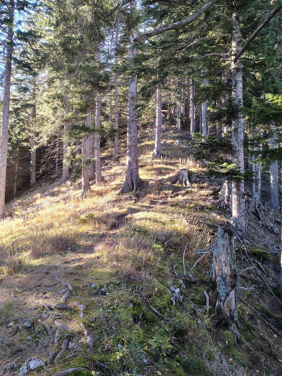 Verlauf (beim Vorsprung, dann wieder in Gegenrichtung)