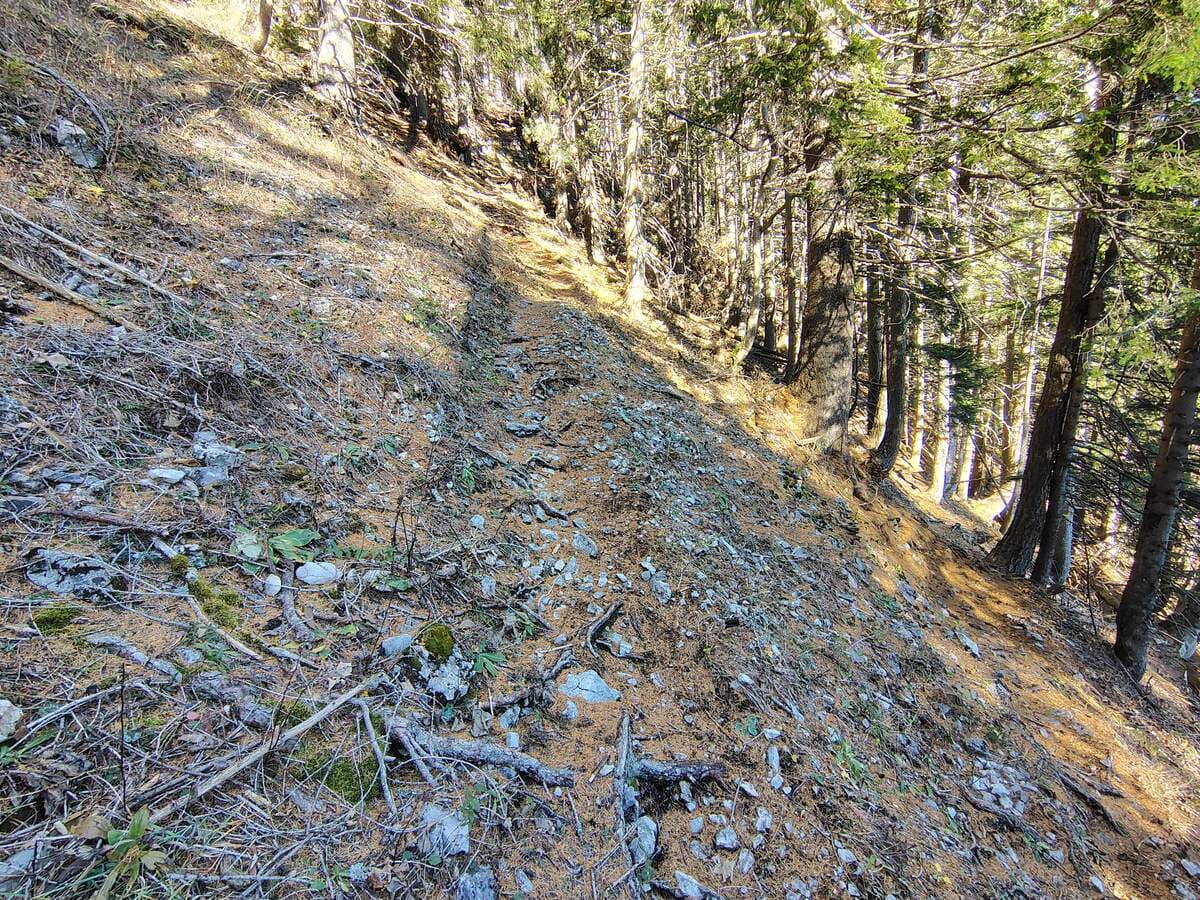 Zickzack (am Zacken)