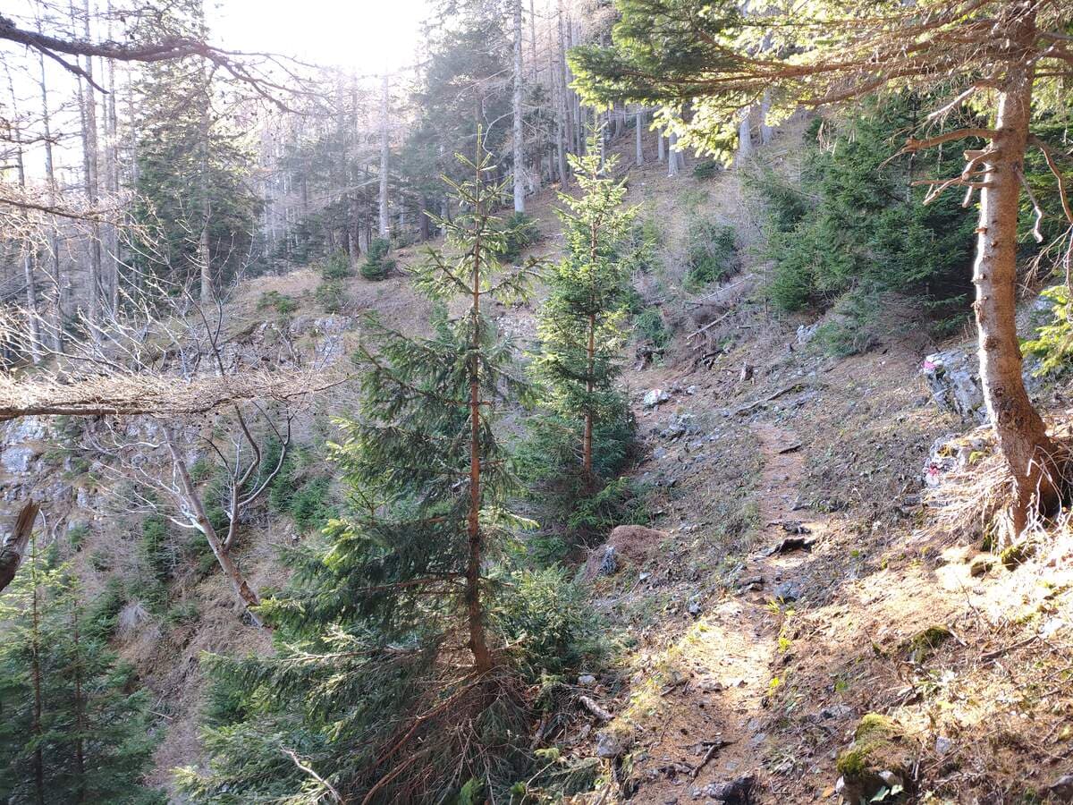 Blick zum Grafensteig