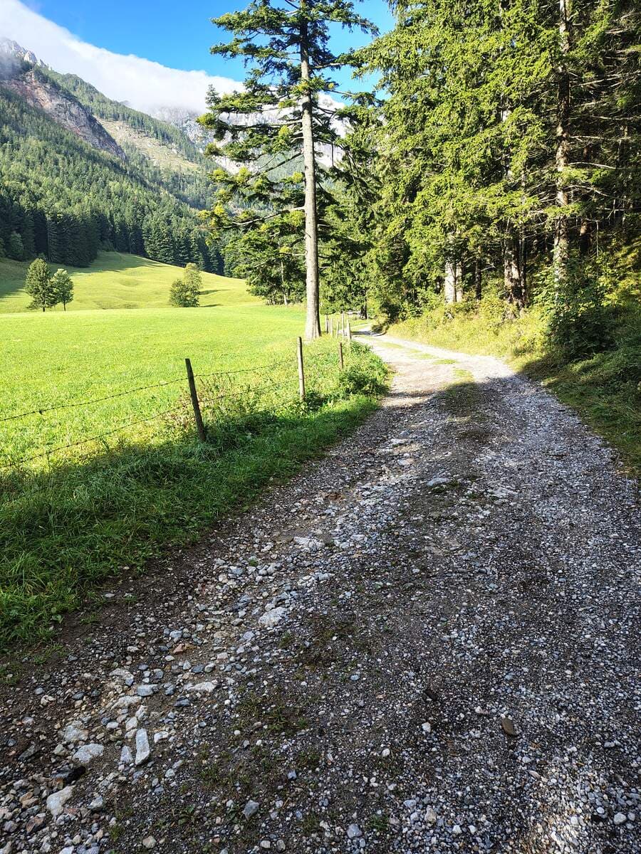 Forststraße hinterm Schwabenhof