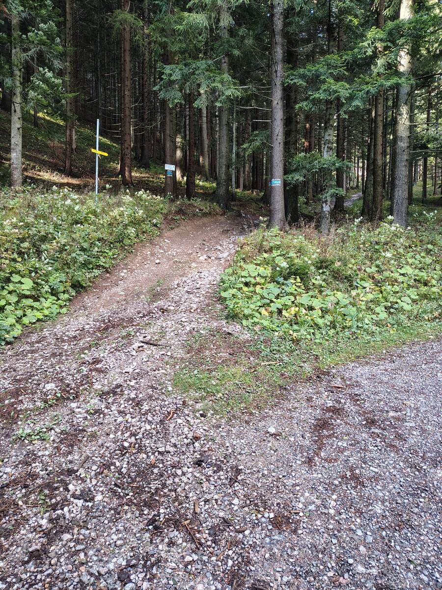 Einstiegsstelle / Beginn der Markierung