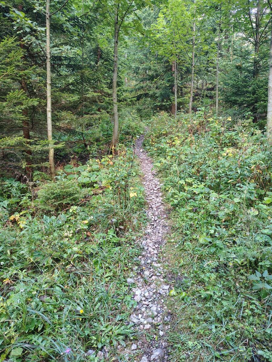 Steiglein zum Taufbrunnen