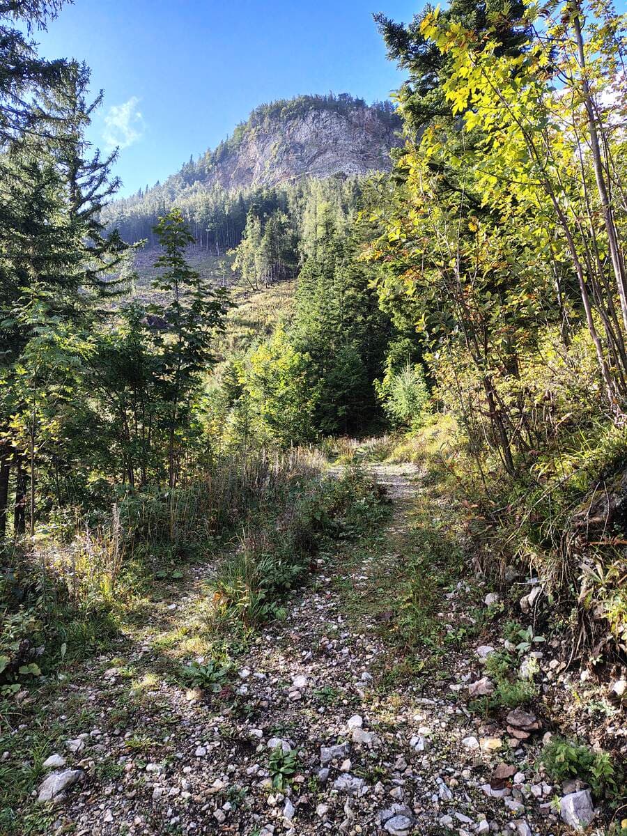Nach der Forststraße schräg links
