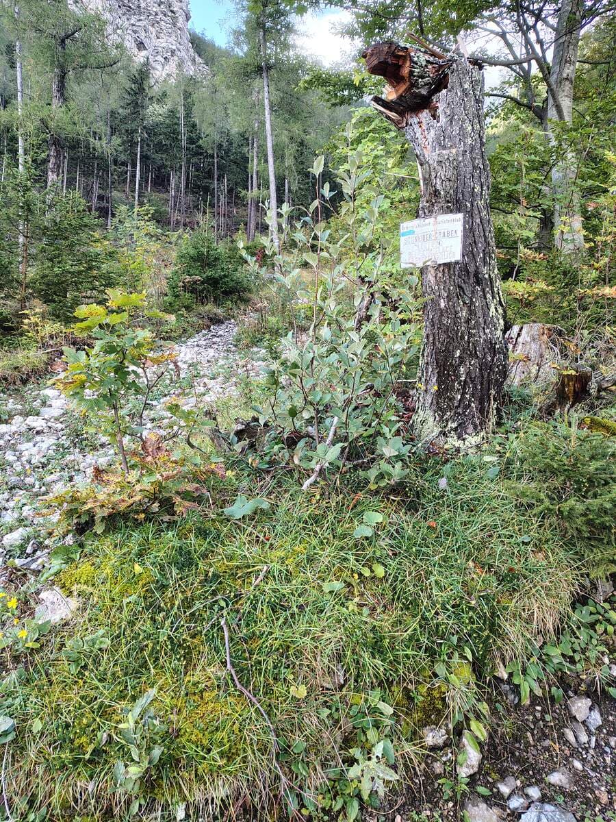 Schneidergraben - Warnschild