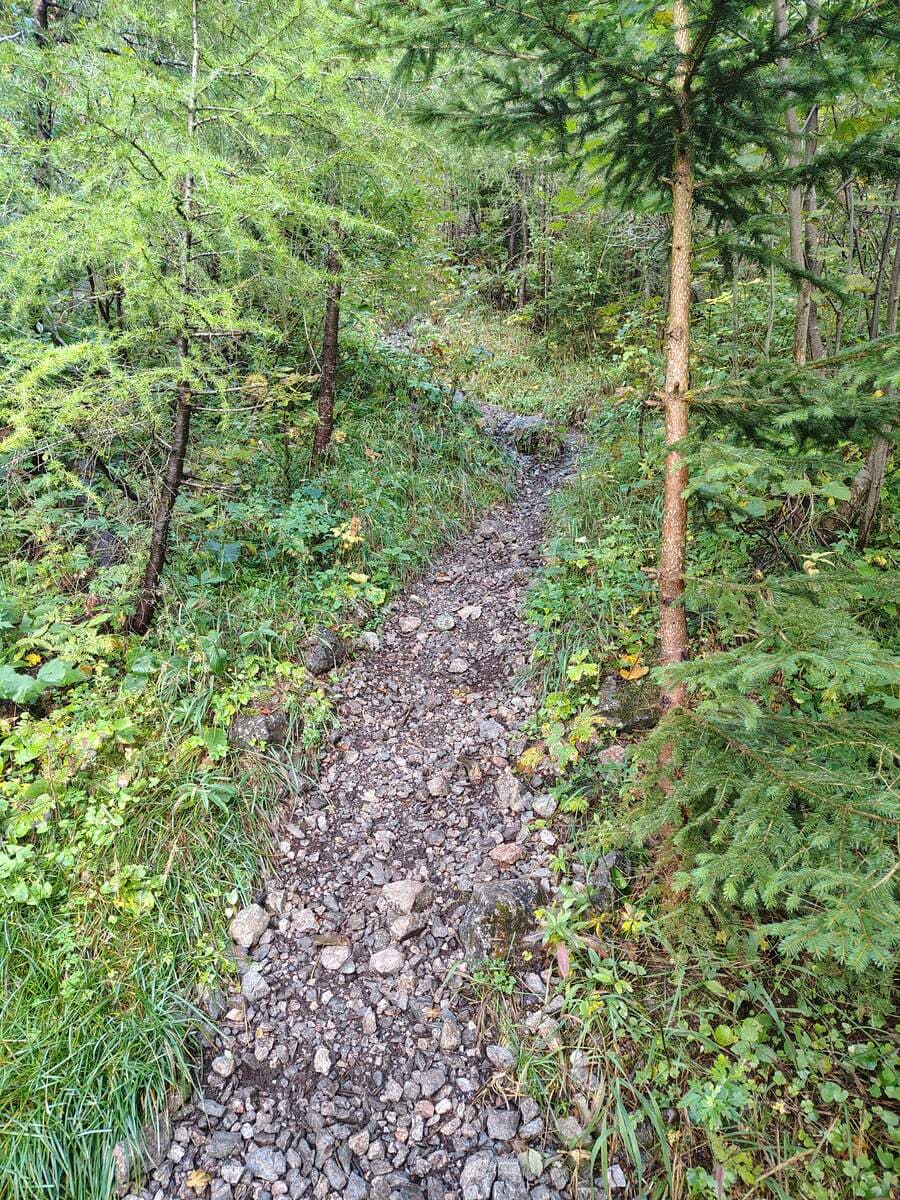 Verlauf (nach der Fortsetzung)