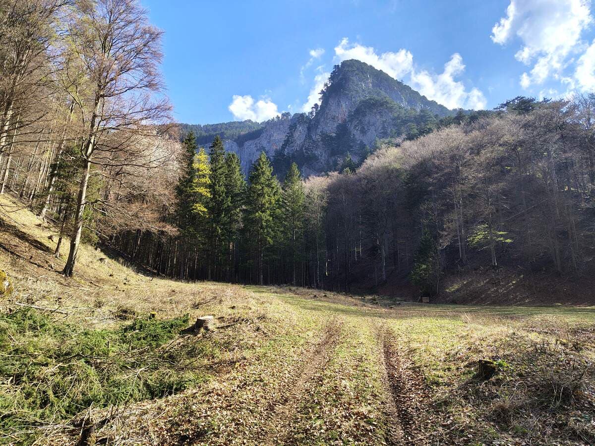 Einstiegsstelle