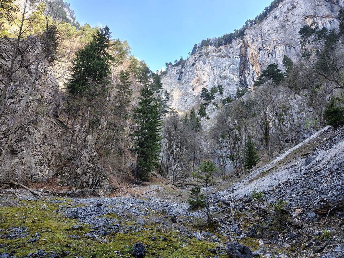 Verlauf