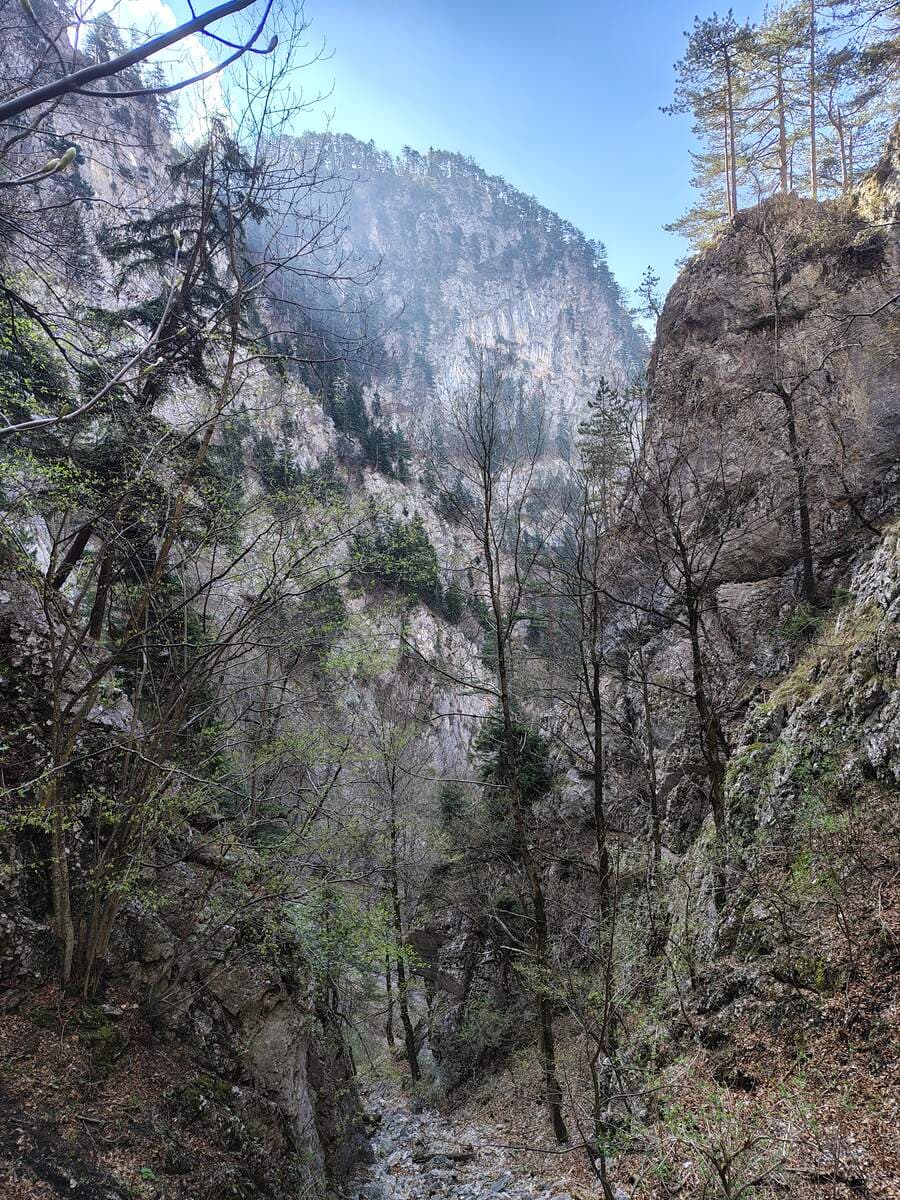 Rückblick zur Quasi-Schlucht