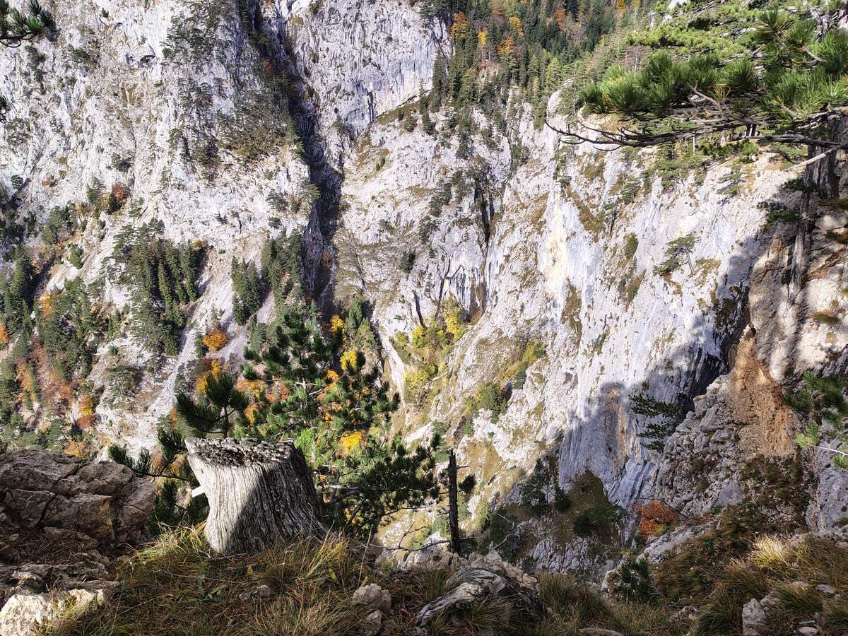 DAS SCHIECHE 🗣️🗣️🗣️ (vom Brettschacher aus)