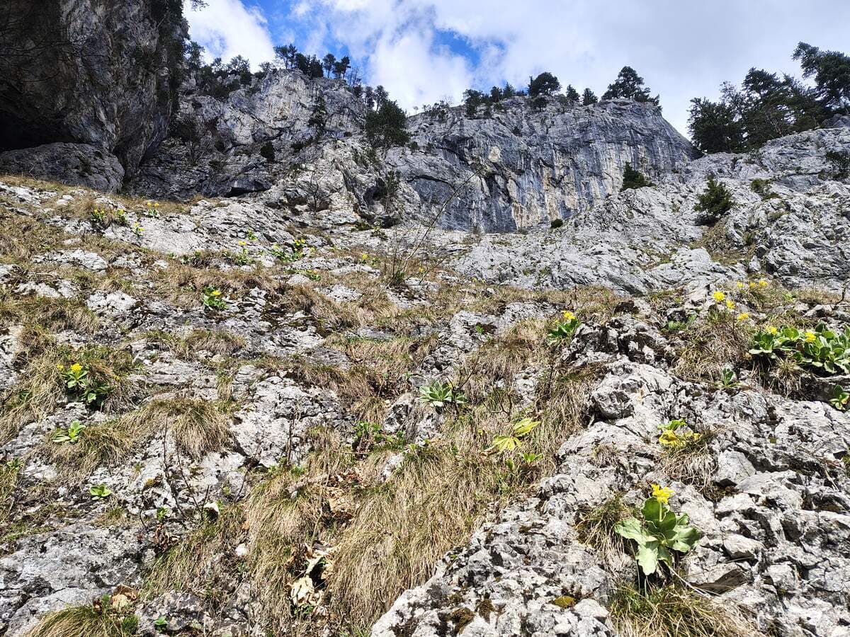 Verlauf, links der Baum (schwer zu erkennen)