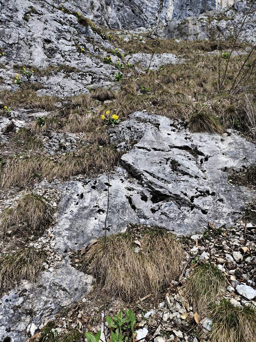 Versicherung (beim Felsen)