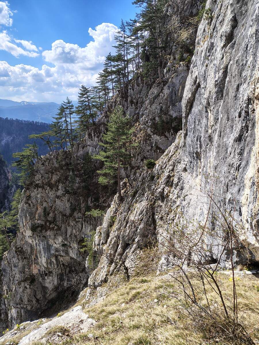 Rückblick Richtung Hochgang