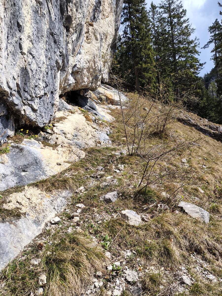 Ausstiegsband in den Wald