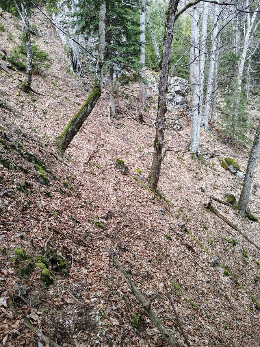 Steiglein zum Brettschachersteig