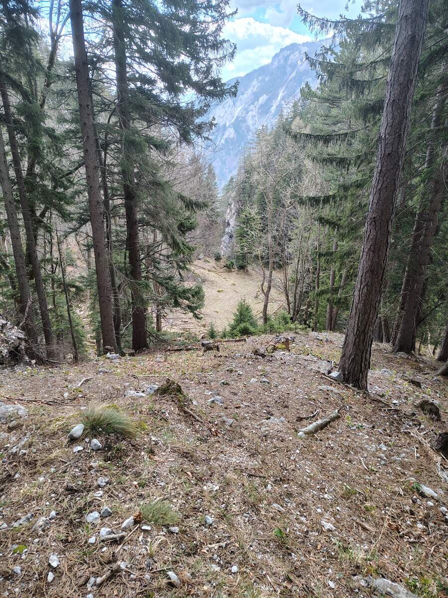 Bei dem grünen Kessel und dem Wasserofenloch