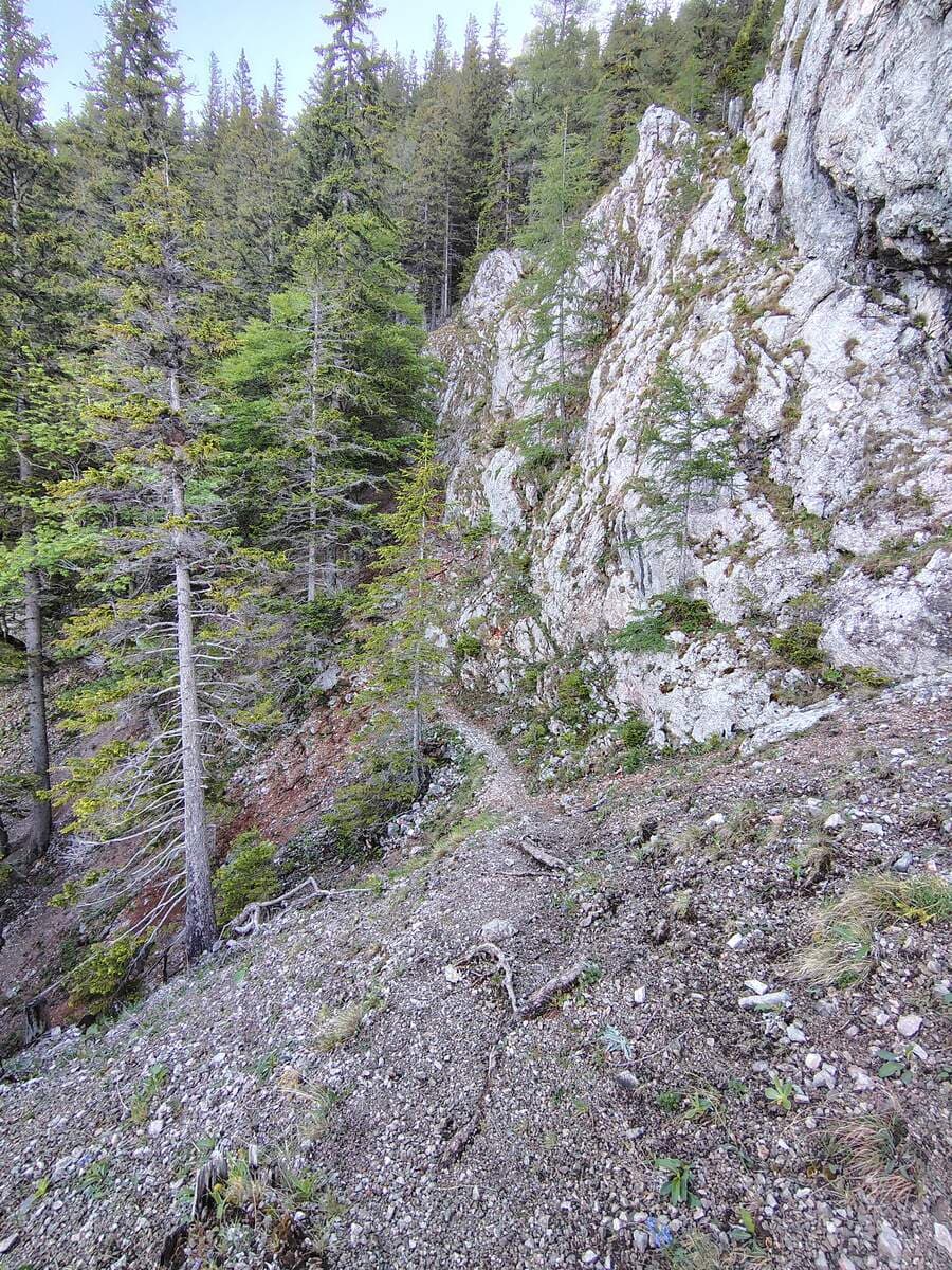 Verlauf (etwas dahinter)