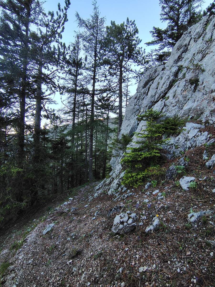Verlauf; rechts die Felswand