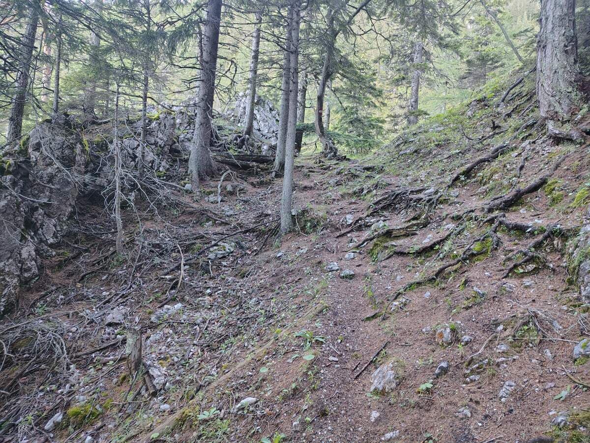 Verlauf