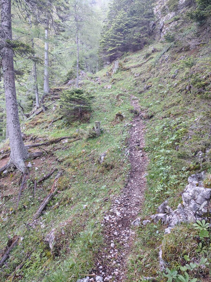 Verlauf