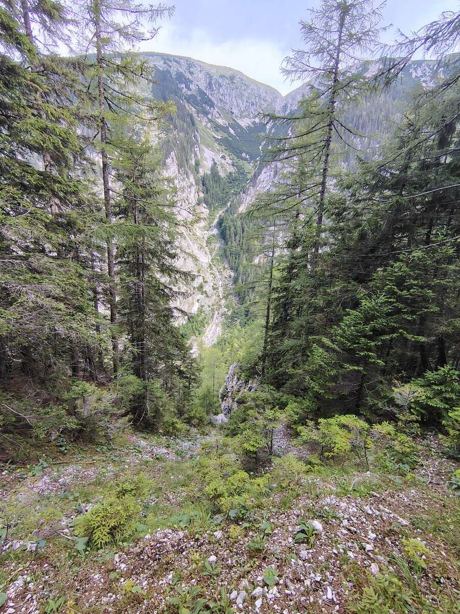 Blick zum Großen Saugraben 🗿
