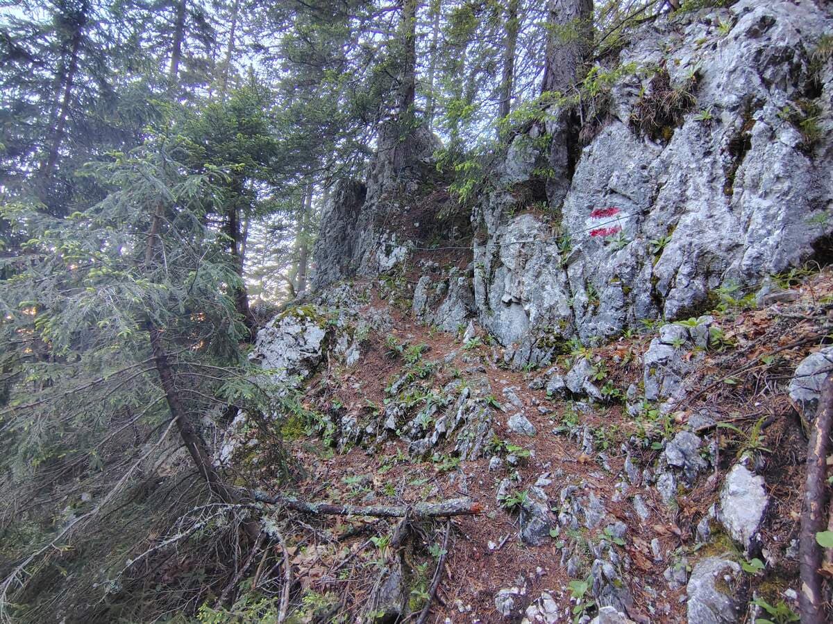 Versicherung