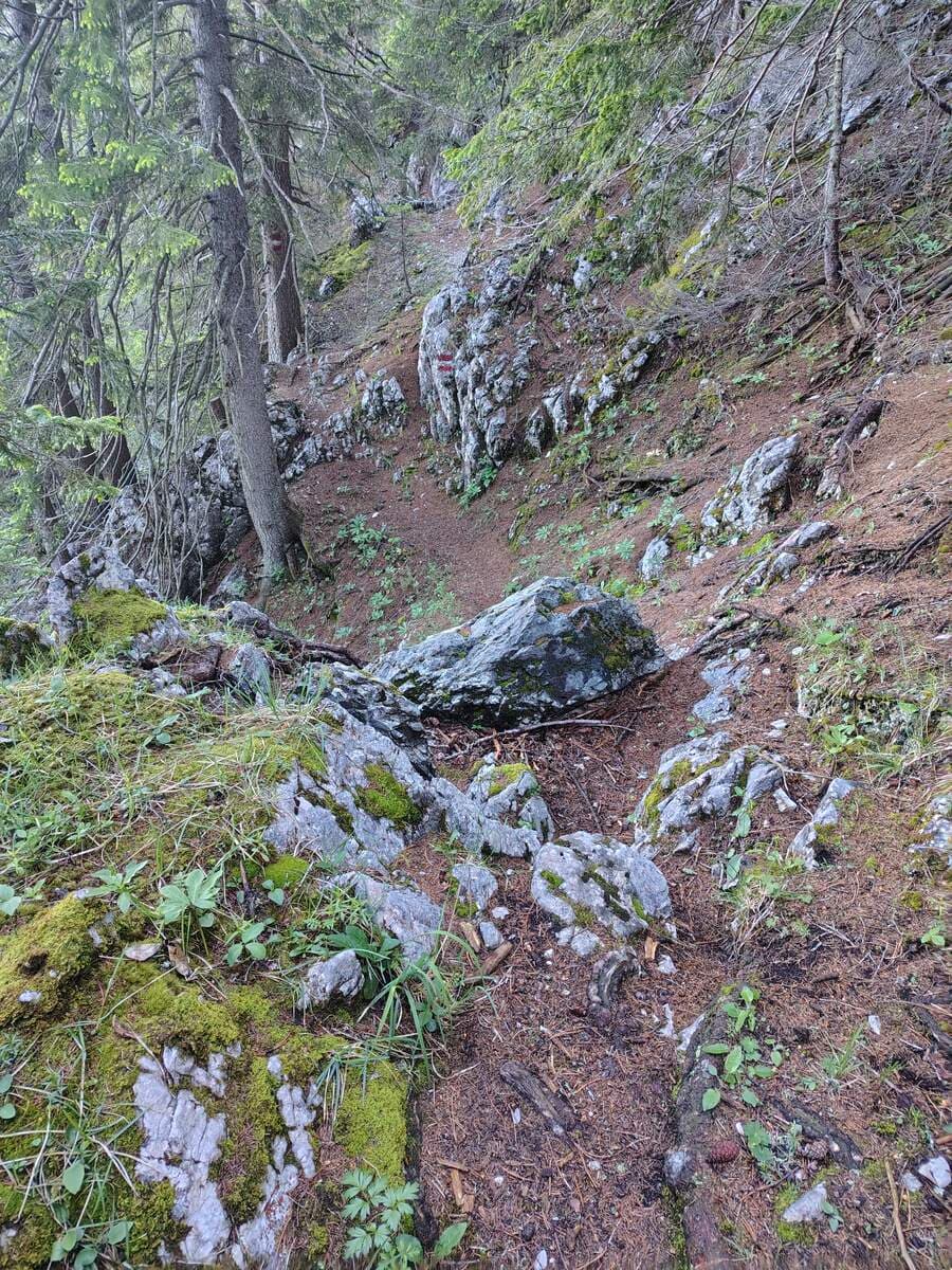 Verlauf